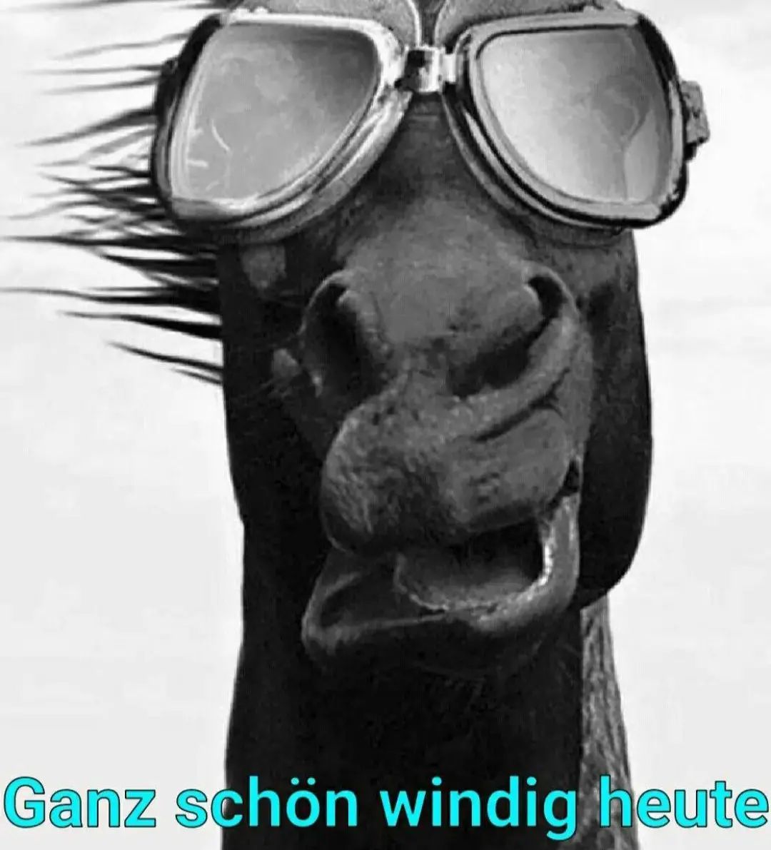 Achtung⚠️ es wird wieder stürmisch! Bei Glasschäden helfen wir schnell und unkompliziert